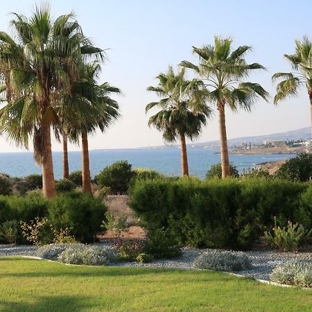 Yulya Villa By Taimoura Paphos Exterior photo
