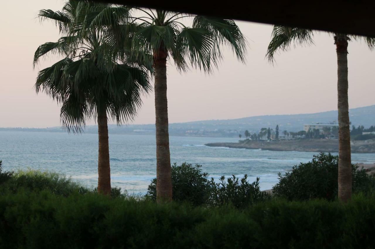 Yulya Villa By Taimoura Paphos Exterior photo